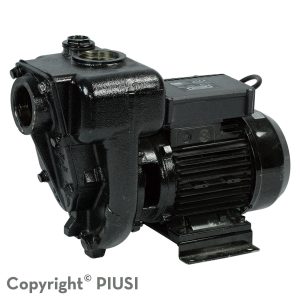 PIUSI E300 PUMP 220V/60Hz ARL 2"NPT - requires prime PART F00321020