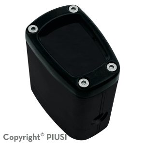 PIUSI K200 IN-LINE GREASE METER GR/KG -1/8"BSP PART F0043011A