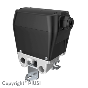 PIUSI GPV2.0 - SINGLE VALVE DEF PART F00446070